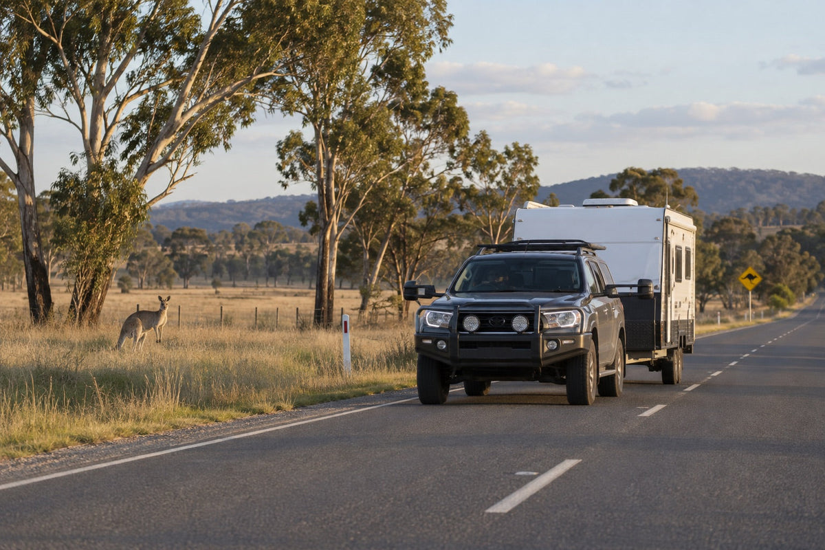 Kangaroo off the verge as a four-wheel drive tows a caravan along a rural road